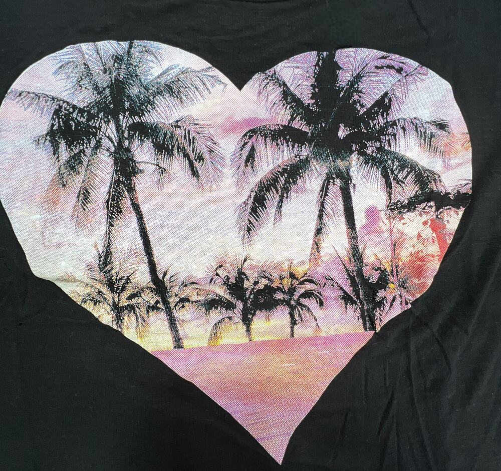 Cloudless Black Heart Palm Tree Sunset Graphic Scoop Neck T Shirt Womens 2X
